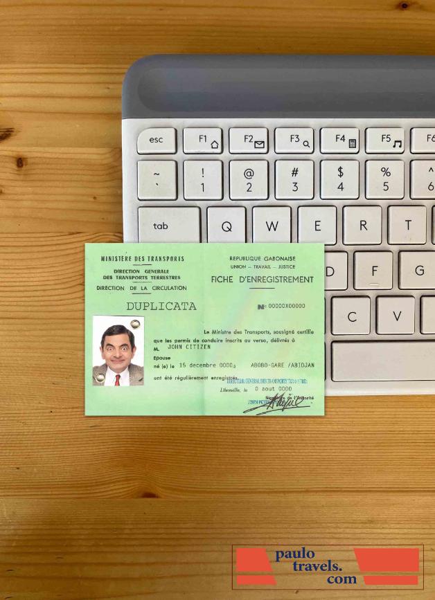 Gabon dl photolook FRONT PSD template